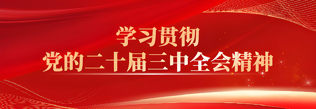 學習貫徹黨的二十屆三中全會精神
